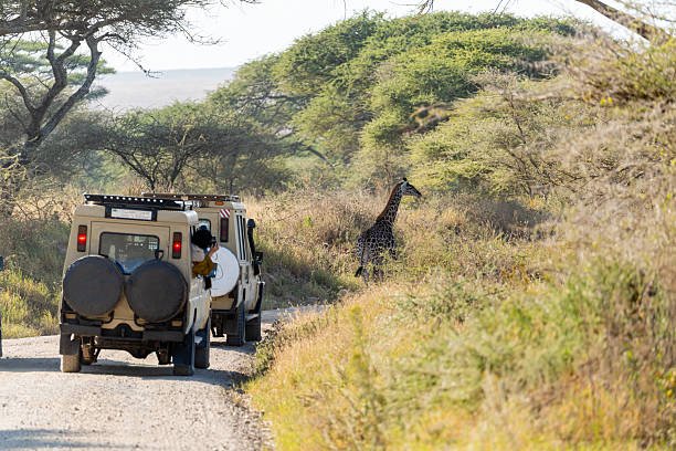 Lake Jipe And Mkomazi Tour From Moshi: Complete Guide 2026-2027-2028