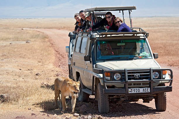 Lake Natron Private Tour From Moshi: Luxury Travel Guide 2026-2027-2028