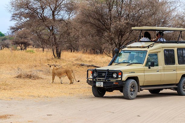 8 Days Tanzania Family Safari Package Price Guide