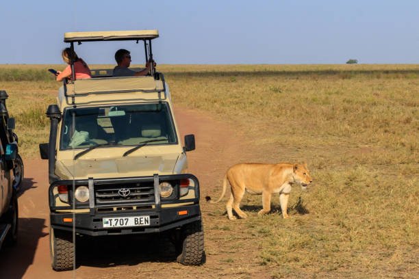 Luxury One Day Safari From Moshi: Experience The Wild In 2026-2027