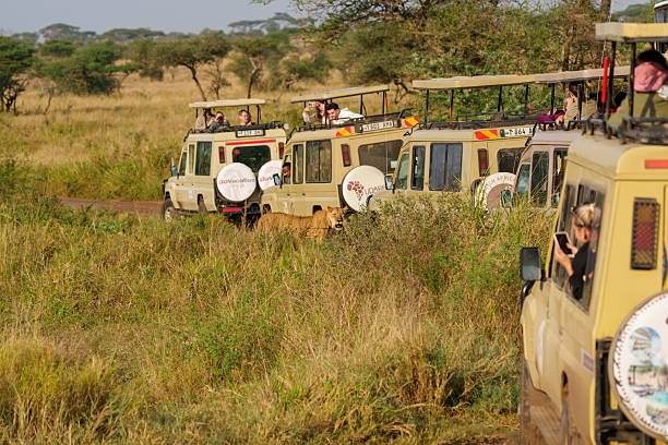 Mkomazi Rhino Sanctuary Tour From Moshi: Complete Guide 2026-2027-2028