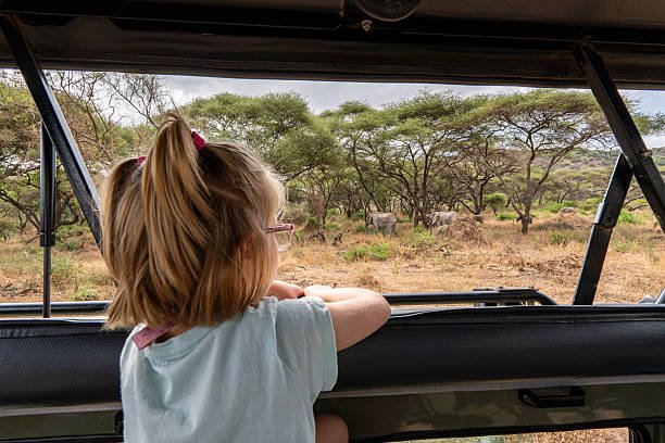 Tanzania Safari Tipping Guide For Guides, Cooks, And Camp Staff In 2026-2027