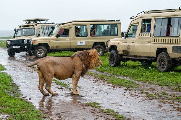 Tarangire National Park